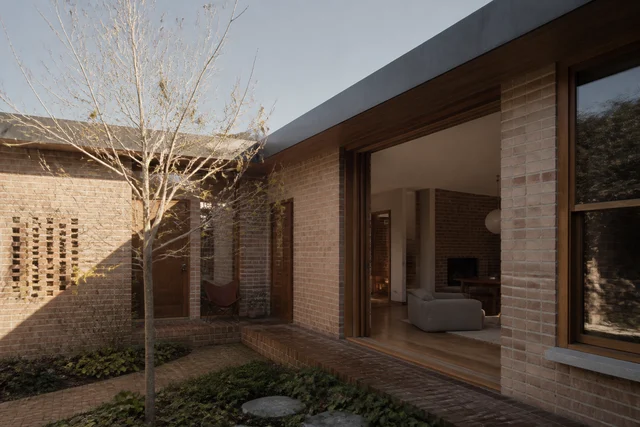 Shaded courtyard bringing daylight and planting into a contemporary home