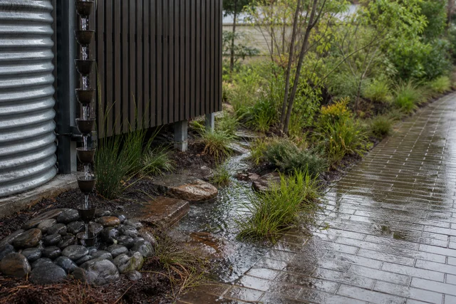 Rain garden and water tank integrated into a planted residential landscape