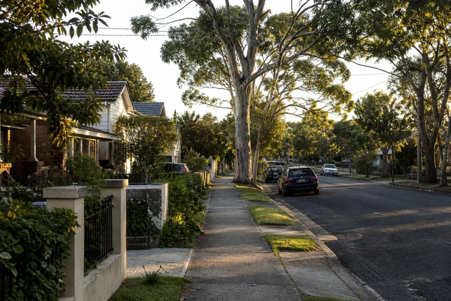 Established suburban street with detached homes, trees and varied setbacks