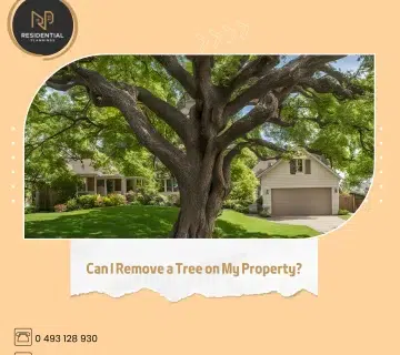 tree removal, public safety, environmental legislation, local council permits, tree assessment, pruning and maintenance