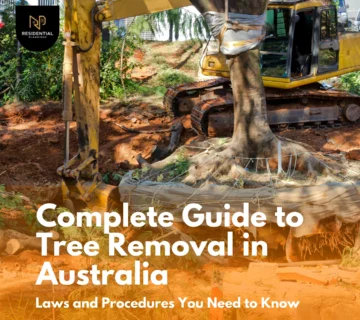 Complete Guide to Tree Removal in Australia