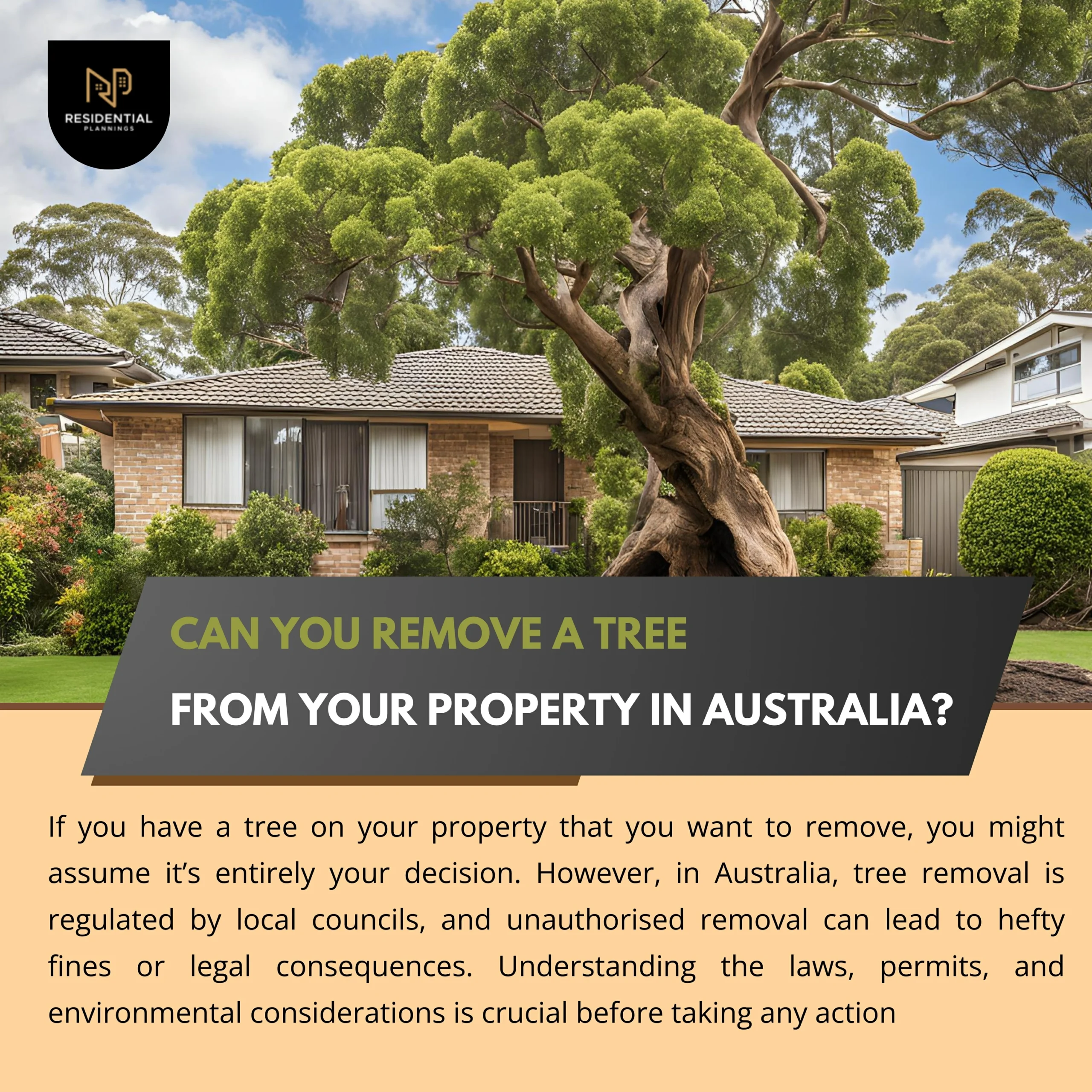 Can You Remove a Tree from Your Property in Australia? 1 Can You Remove a Tree from Your Property in Australia?
