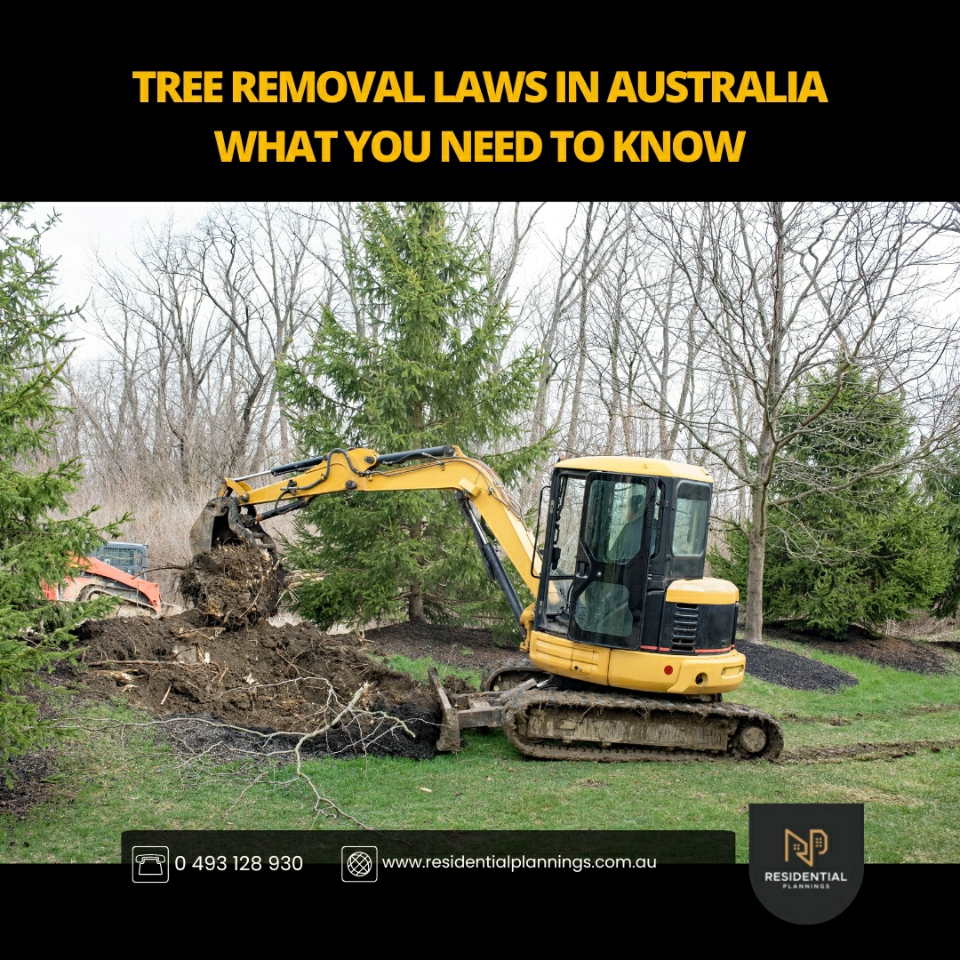 Tree Removal Laws in Australia : What You Need to Know 1 Renovating Your Home Has Never Been Easier